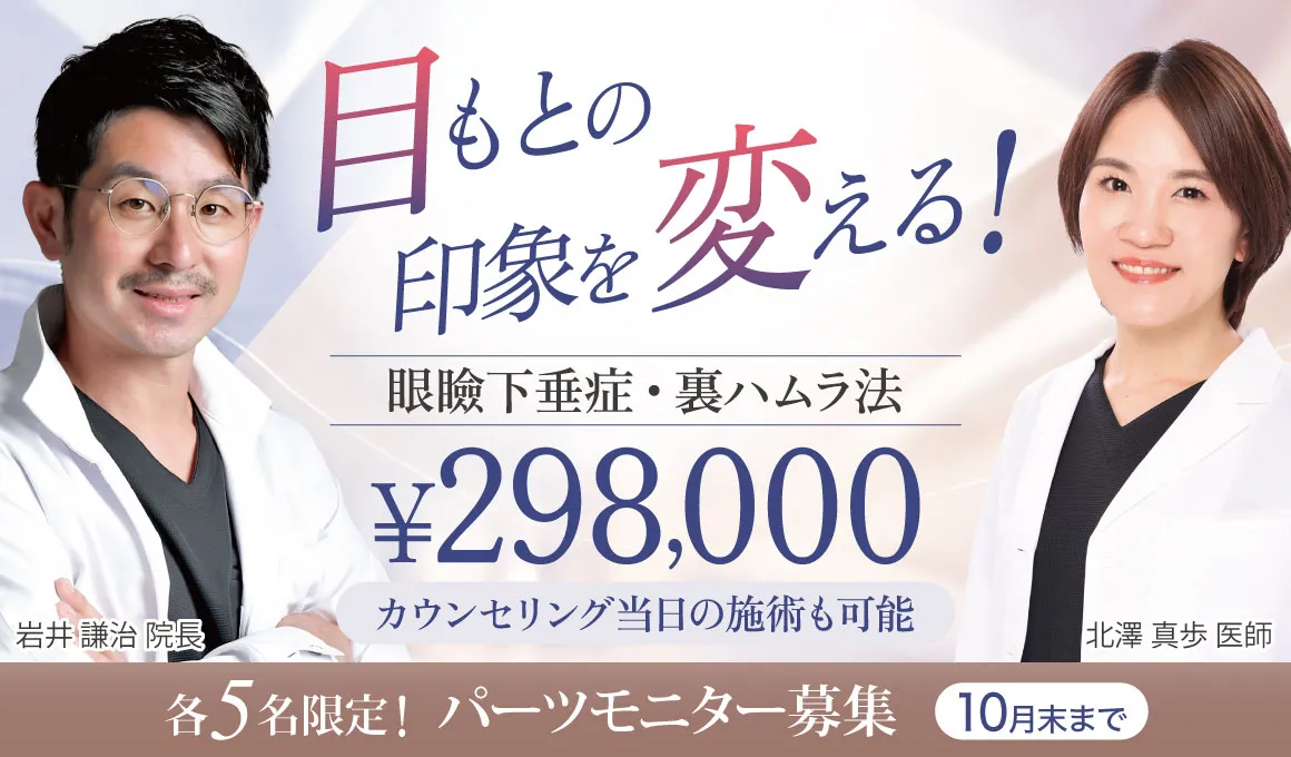 眼瞼下垂、裏ハムラ 298,000円