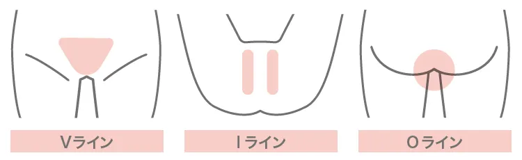 エクリン腺の分布、アポクリン腺の分布